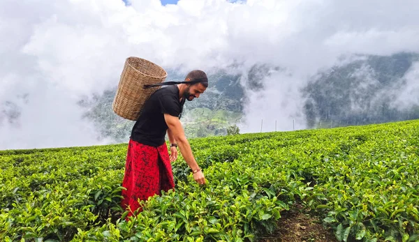 depositphotos_335626476-stock-photo-tourists-walking-through-tea-plantations