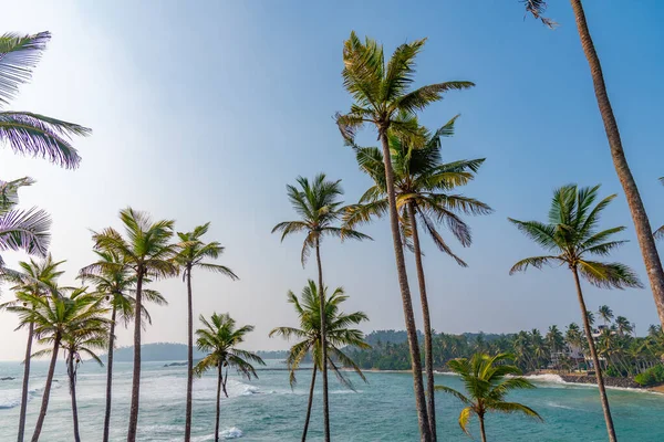 depositphotos_649446932-stock-photo-coconut-hill-view-indian-ocean