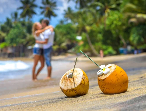 depositphotos_86601064-stock-photo-cocunut-on-a-tropical-beach-fotor-2023111604638